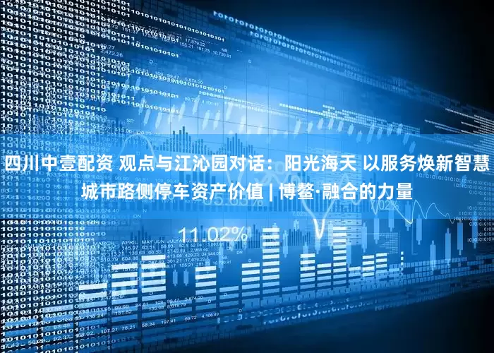 四川中壹配资 观点与江沁园对话：阳光海天 以服务焕新智慧城市路侧停车资产价值 | 博鳌·融合的力量