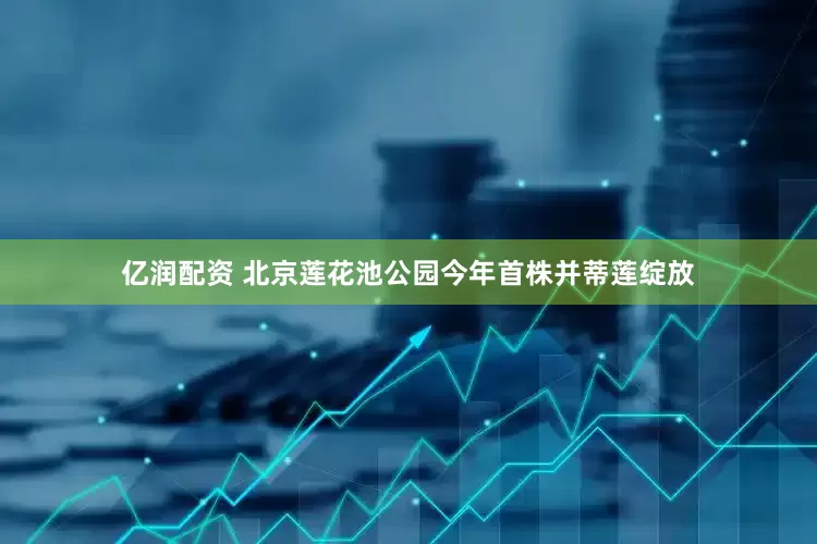 亿润配资 北京莲花池公园今年首株并蒂莲绽放