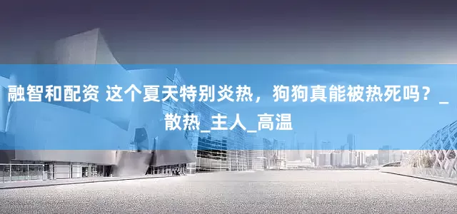 融智和配资 这个夏天特别炎热，狗狗真能被热死吗？_散热_主人_高温
