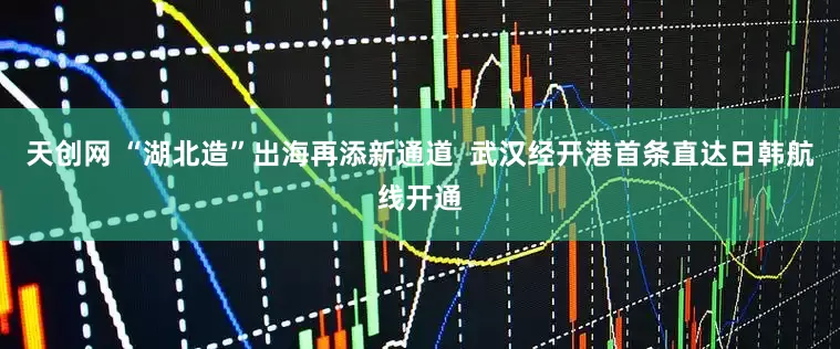 天创网 “湖北造”出海再添新通道  武汉经开港首条直达日韩航线开通