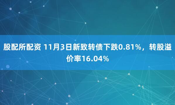 股配所配资 11月3日新致转债下跌0.81%，转股溢价率16.04%